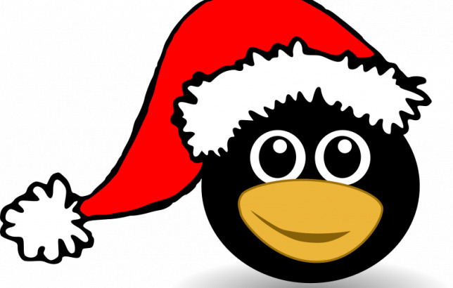 搞笑 企鹅 面对 圣 塔克 劳斯 帽子 linux 动物 圣诞节 圣诞老人 颜色 克劳斯 svg 矢量图 生物世界