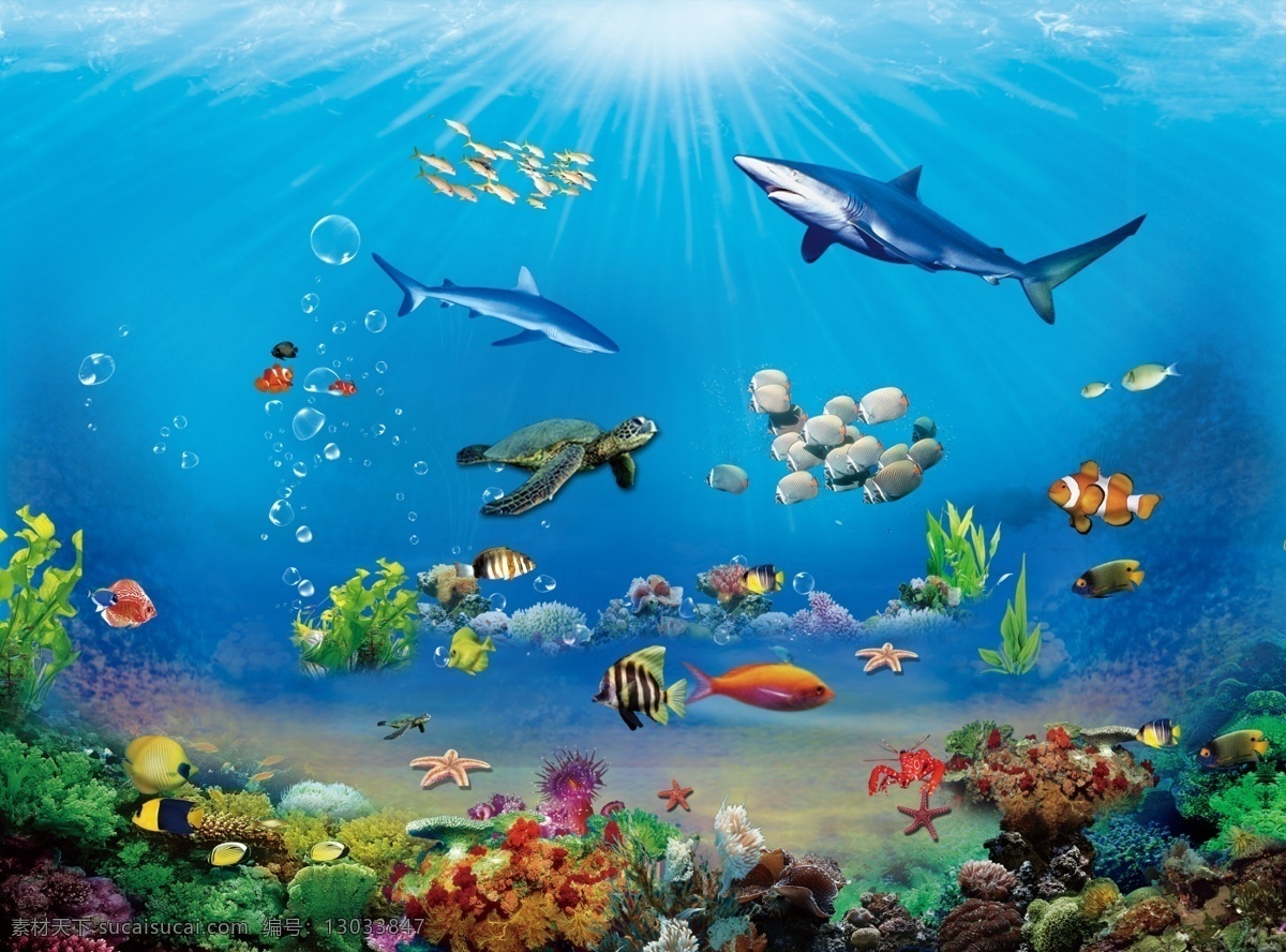 海底 生物 鲨鱼 鱼类 海底生物分层 海底植物 psd源文件