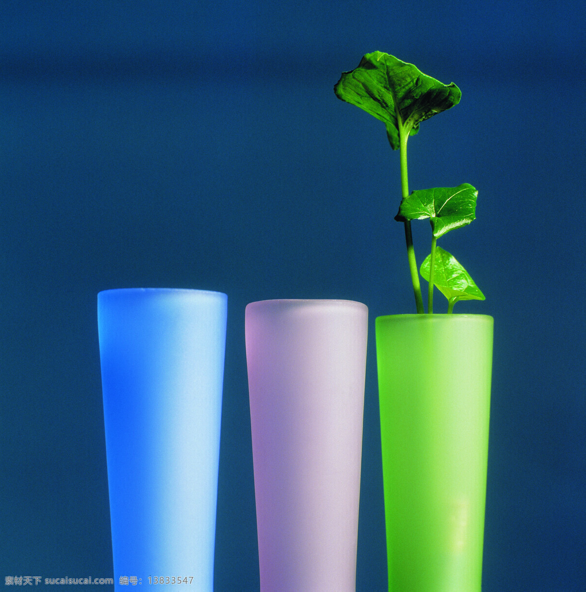 生活 小品 杯子 摄影图库 生活百科 生活素材 植物 生活小品 矢量图 日常生活