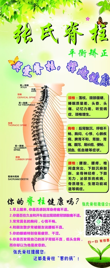 脊柱健康 脊柱 脊椎 健康 春天 绿底 清新 写真 展架 绿色 蝴蝶 海报 养生 示意图 展板模板