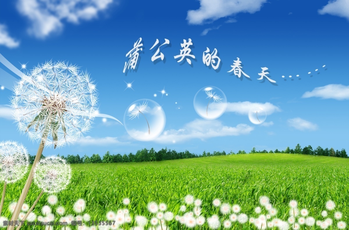 春 飘 絮 分层 模板 春天图片素材 蓝天白云 蒲公英 野草 野花 psd源文件