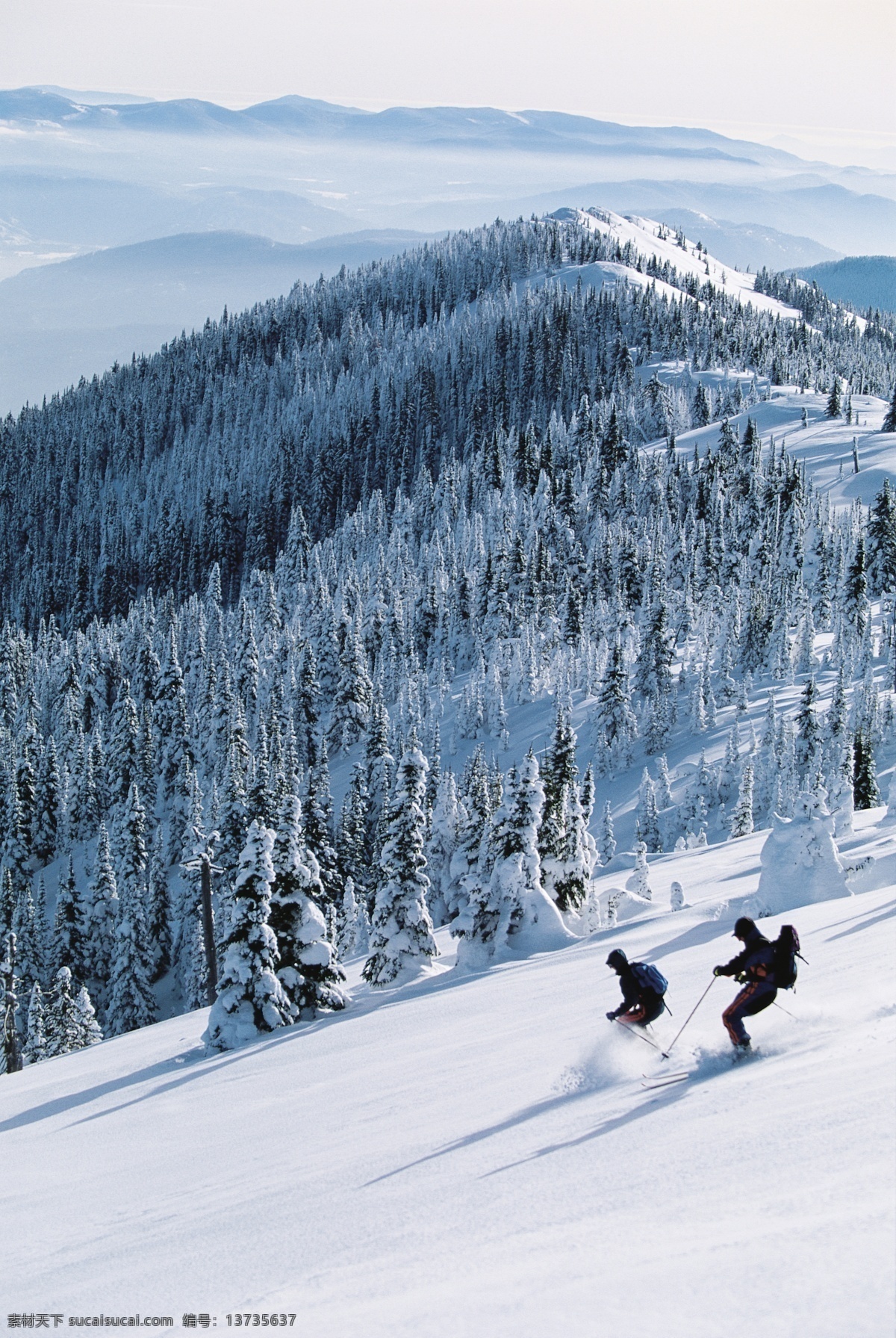 高山 滑雪 运动员 雪地运动 划雪运动 极限运动 体育项目 下滑 速度 运动图片 生活百科 雪山 风景 摄影图片 高清图片 滑雪图片