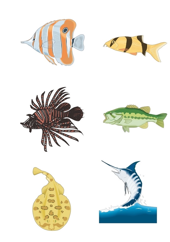 海洋生物 水生生物 鱼类 鱼 矢量图 生物世界