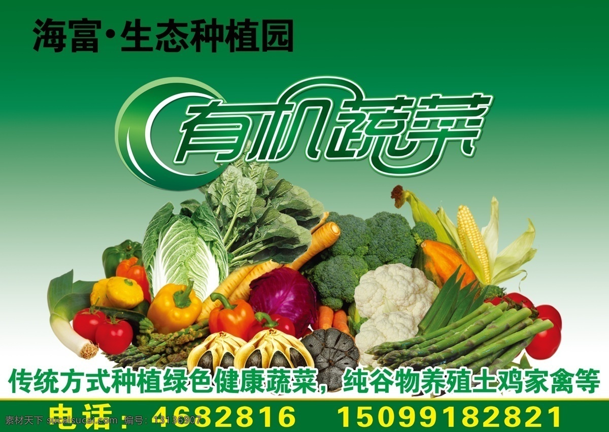 有机蔬菜 有机 蔬菜 种菜 绿色 健康 广告设计模板 源文件