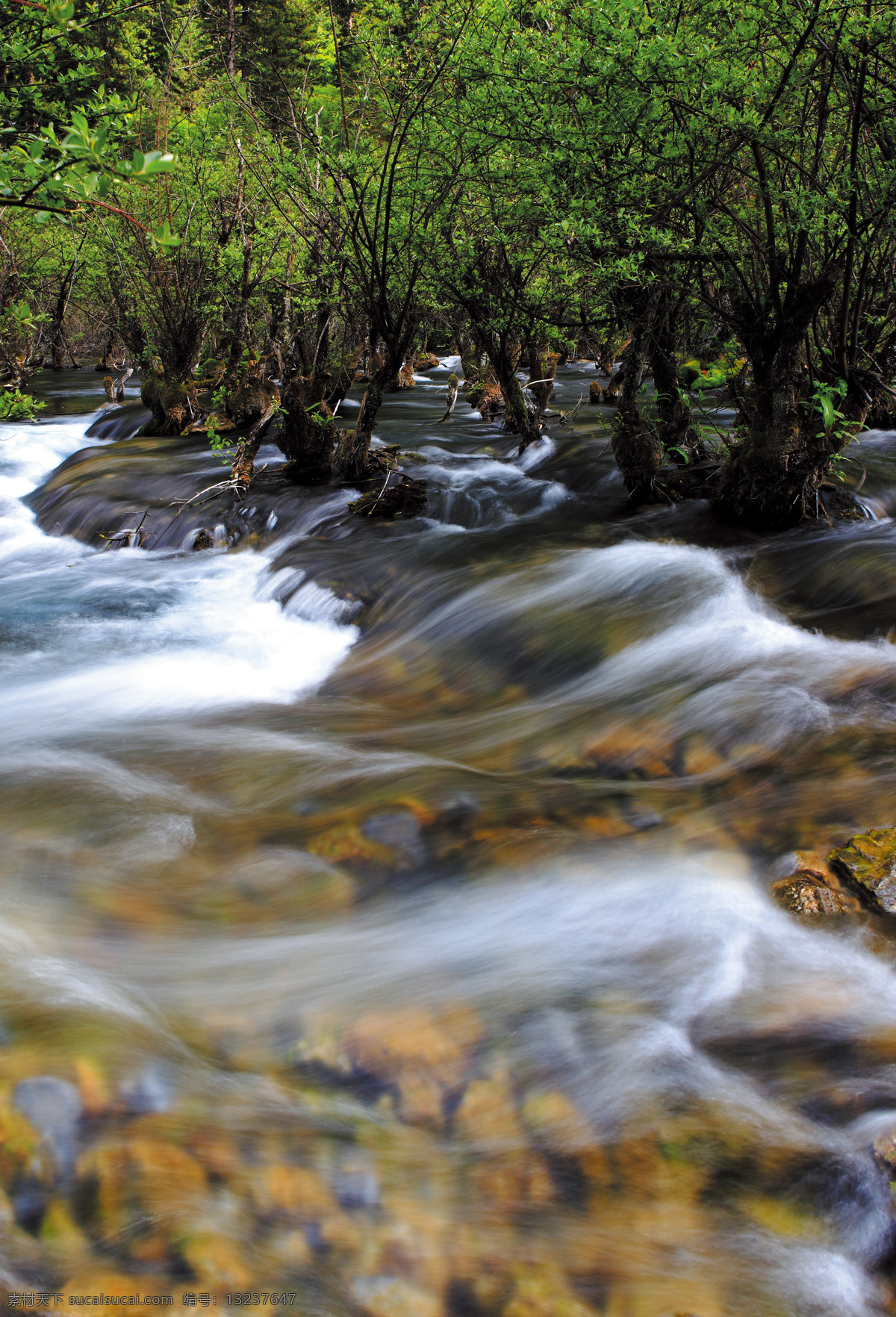 河流树木风景 天空 度假 风景 美景 自然景观 自然风景 旅游摄影 旅游 河流 森林 黑色