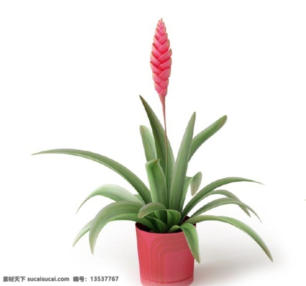 植物 植物模型 盆栽 花卉 花 树 花模型 叶子模型 室内植物 花盆 环艺设计 室内绿化 艺术花盆 绿化 灌木 绿化植物 花草 花卉模型 家装模型 室内模型 3d 装修模型 vray 3dmax 室内设计 家具模型 室内设计模型 3d设计模型 源文件 max 3d模型库 3d设计