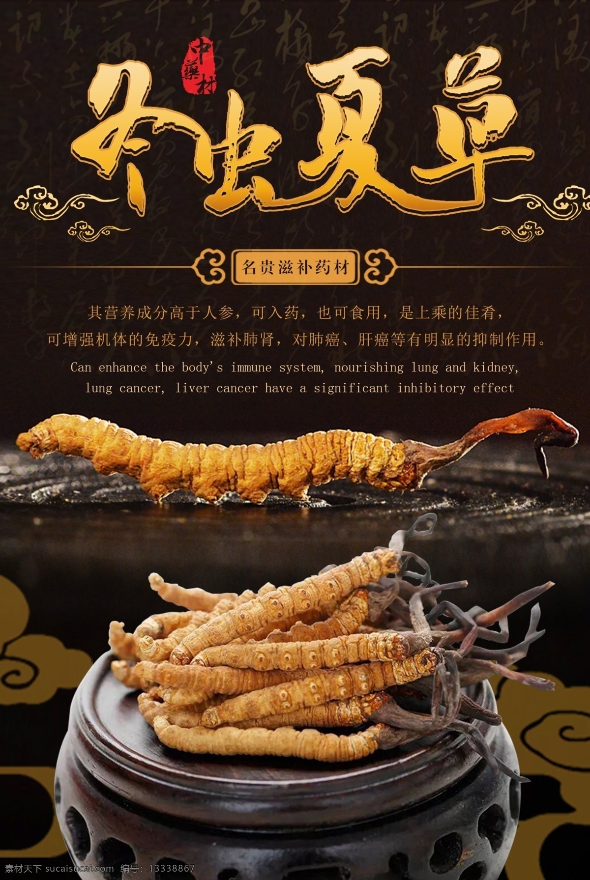 冬虫夏草补品 冬虫夏草包装 中药冬虫夏草 中药大全 中医 中医文化 冬虫夏草展板 冬虫夏草挂画 冬虫夏草促销 冬虫夏草宣传 冬虫夏草图片 冬虫夏草广告 正宗冬虫夏草 冬虫夏草画册 冬虫夏草挂图 虫草 冬虫夏草文化 虫草文化 冬虫夏草展架