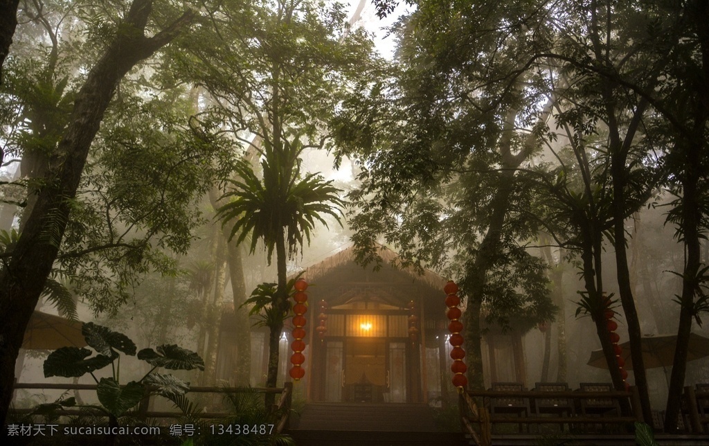 雨林客栈图片 热带雨林 海南 百花岭 雨林国家公园 雨林茶社 自然景观 自然风景