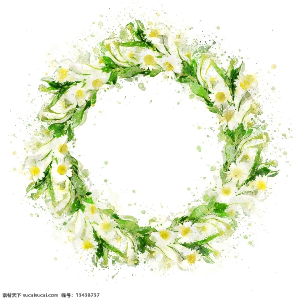 手绘 雏 菊花 环 植物 边框 元素 花卉 雏菊 植物边框 原创 水彩
