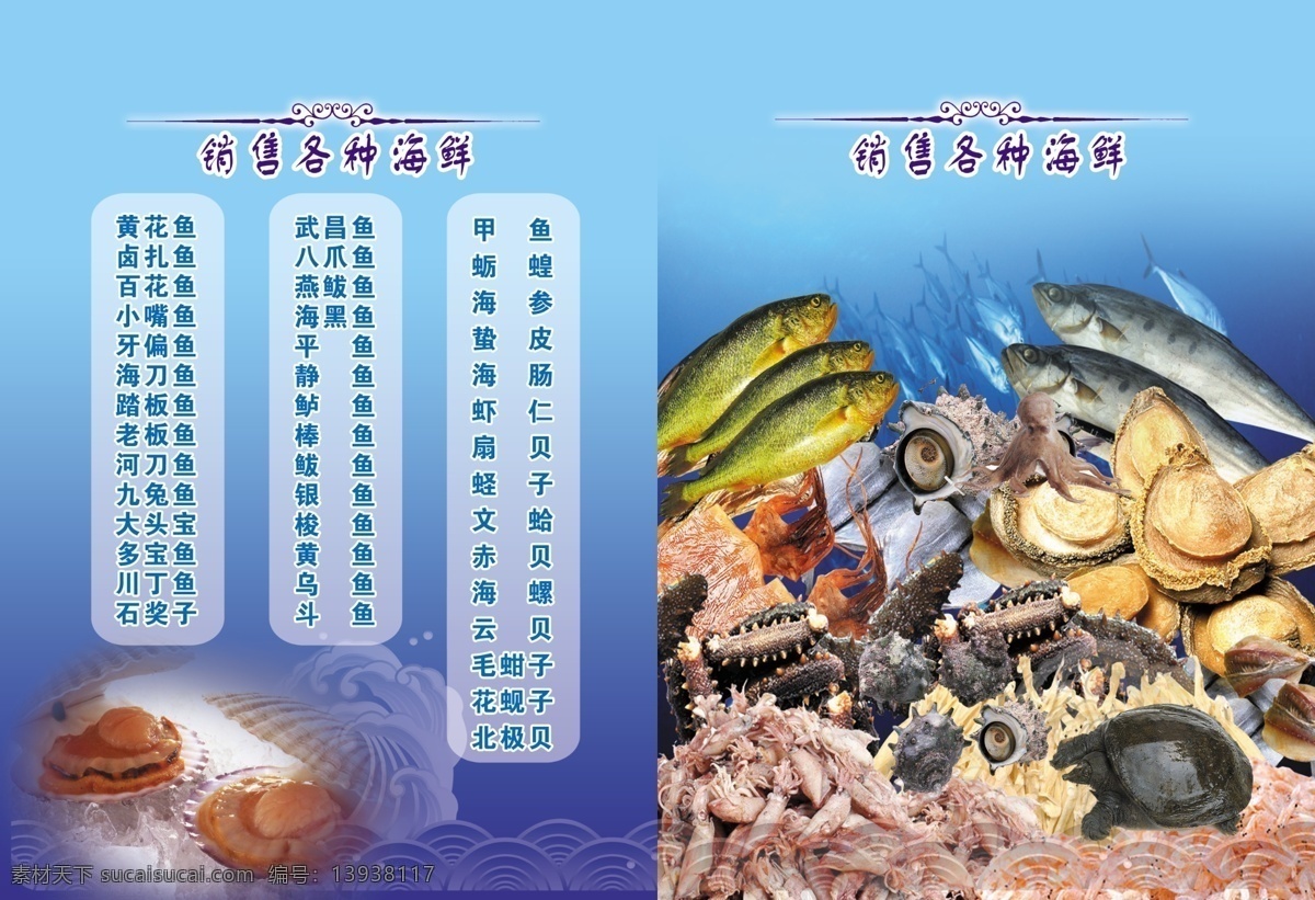 水产品 经销 宣传海报 扇贝 甲鱼 黄花鱼 虾仁 海报 广告设计模板 源文件