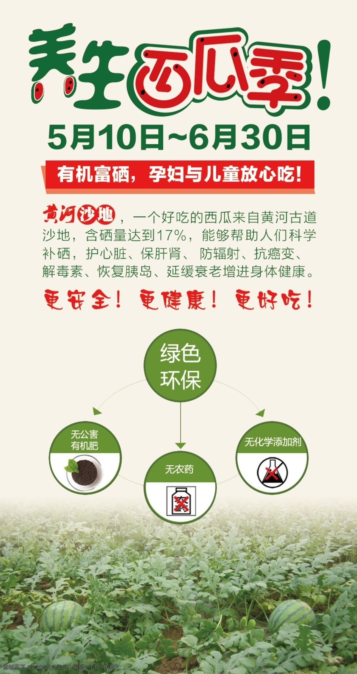 小凤 小兰 西瓜 卡片 白色