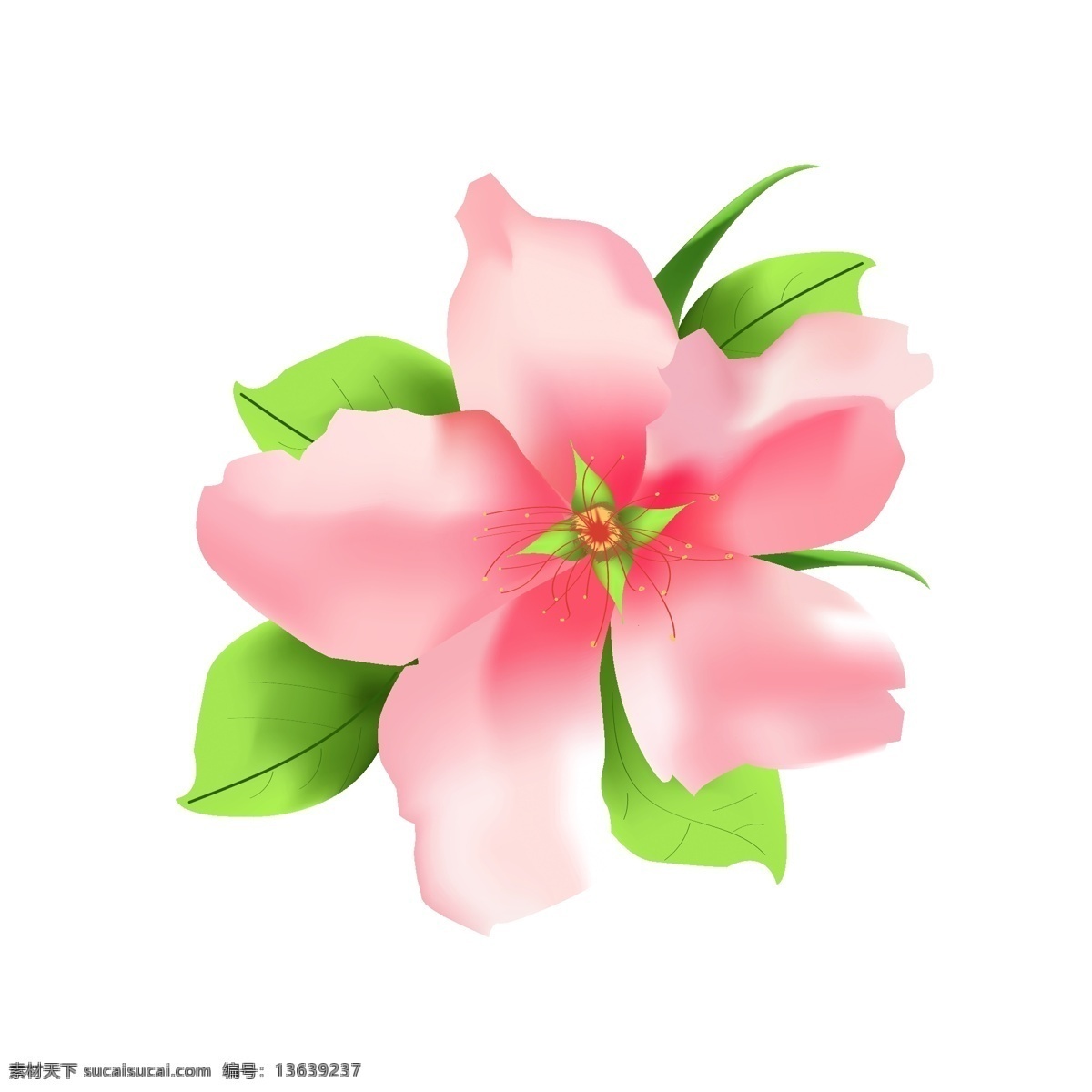 手绘 美丽 清新 桃花 商用 元素 矢量 唯美 桃花源记 装饰图案 可商用元素 含羞 粉色系
