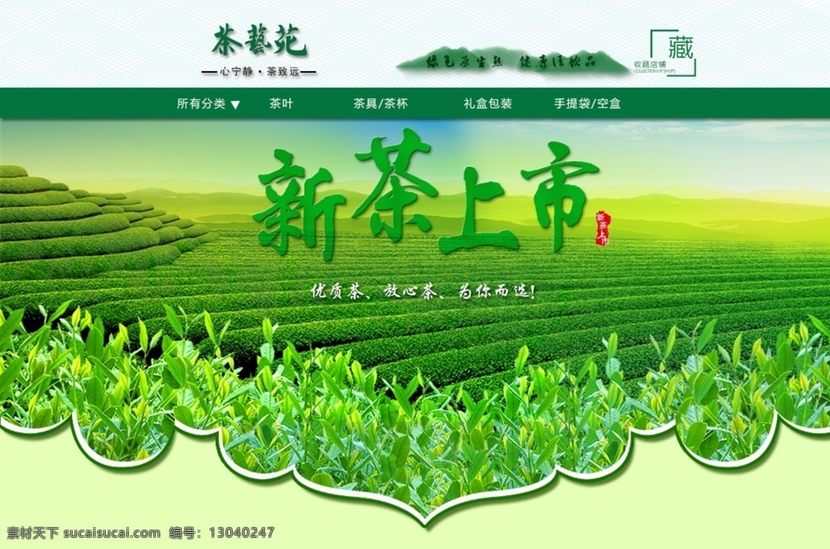 绿茶 新茶上市 绿色茶园