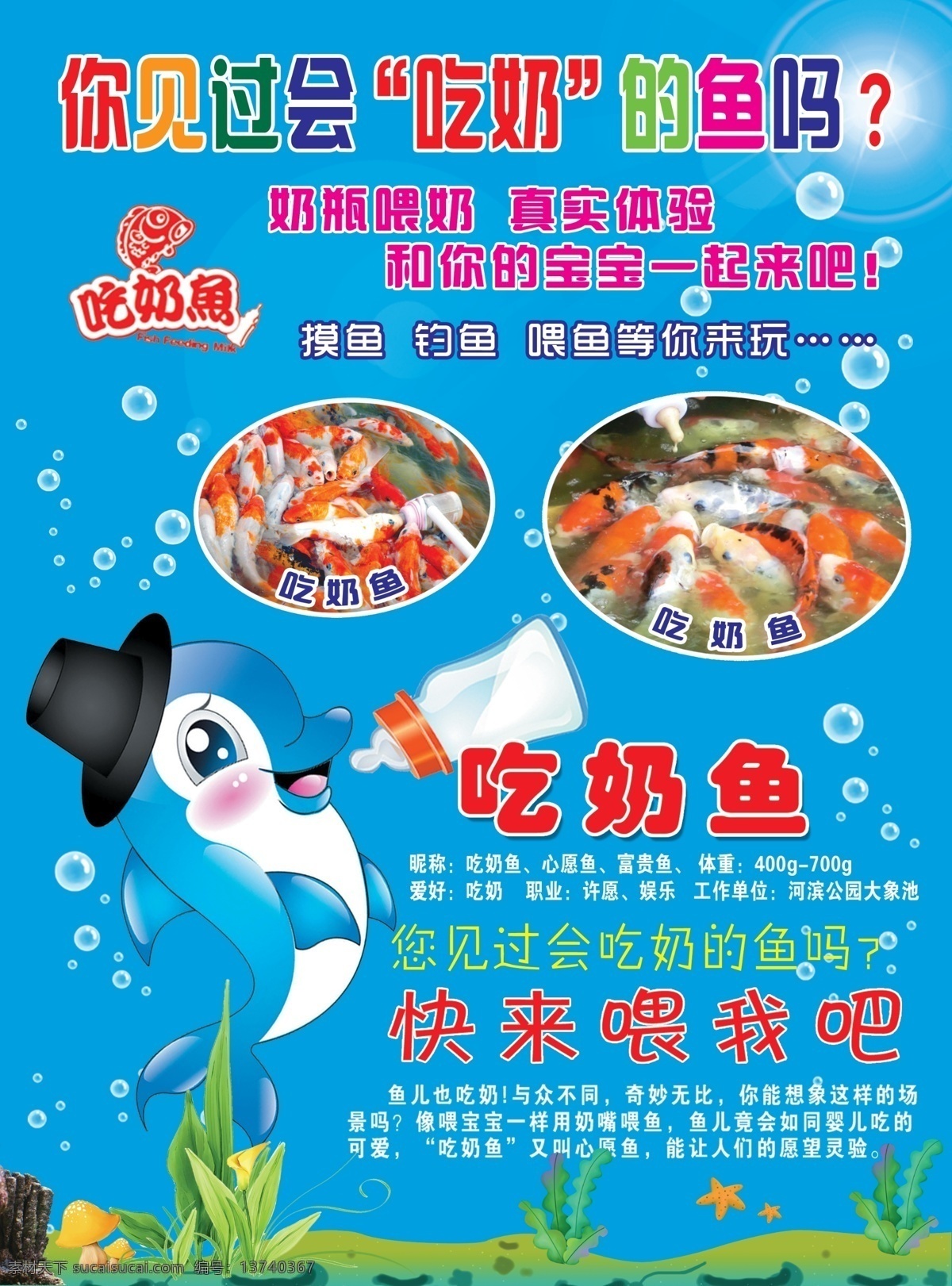 吃奶鱼传单 吃奶鱼 2016