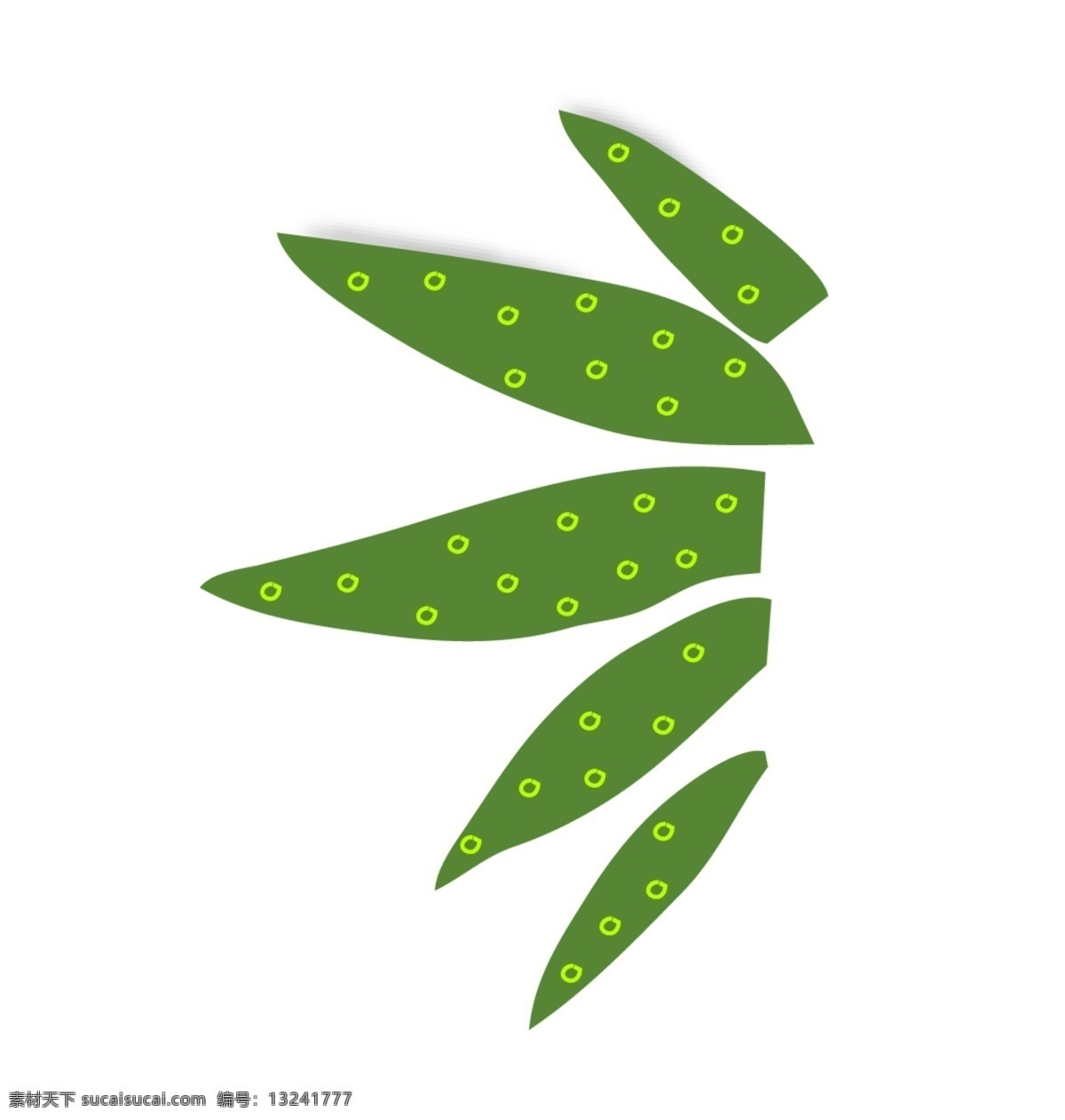 五片叶子 叶子 绿色 植物