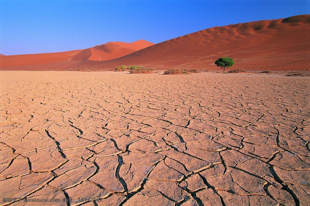 沙漠免费下载 大自然 干旱 干燥 广告 大 辞典 环境 金沙 流沙 气候 沙漠 沙丘 沙子 炎热 风景 生活 旅游餐饮