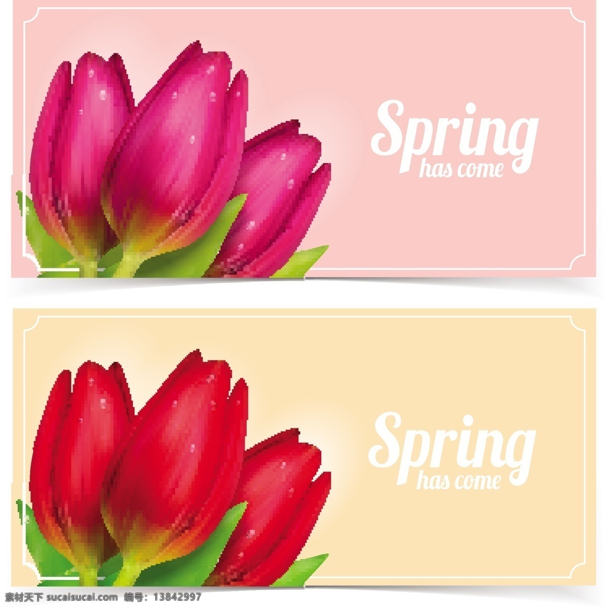 花朵等元素 banner 矢量素材 矢量图 设计素材 创意设计 花朵 鲜花 花卉 春天