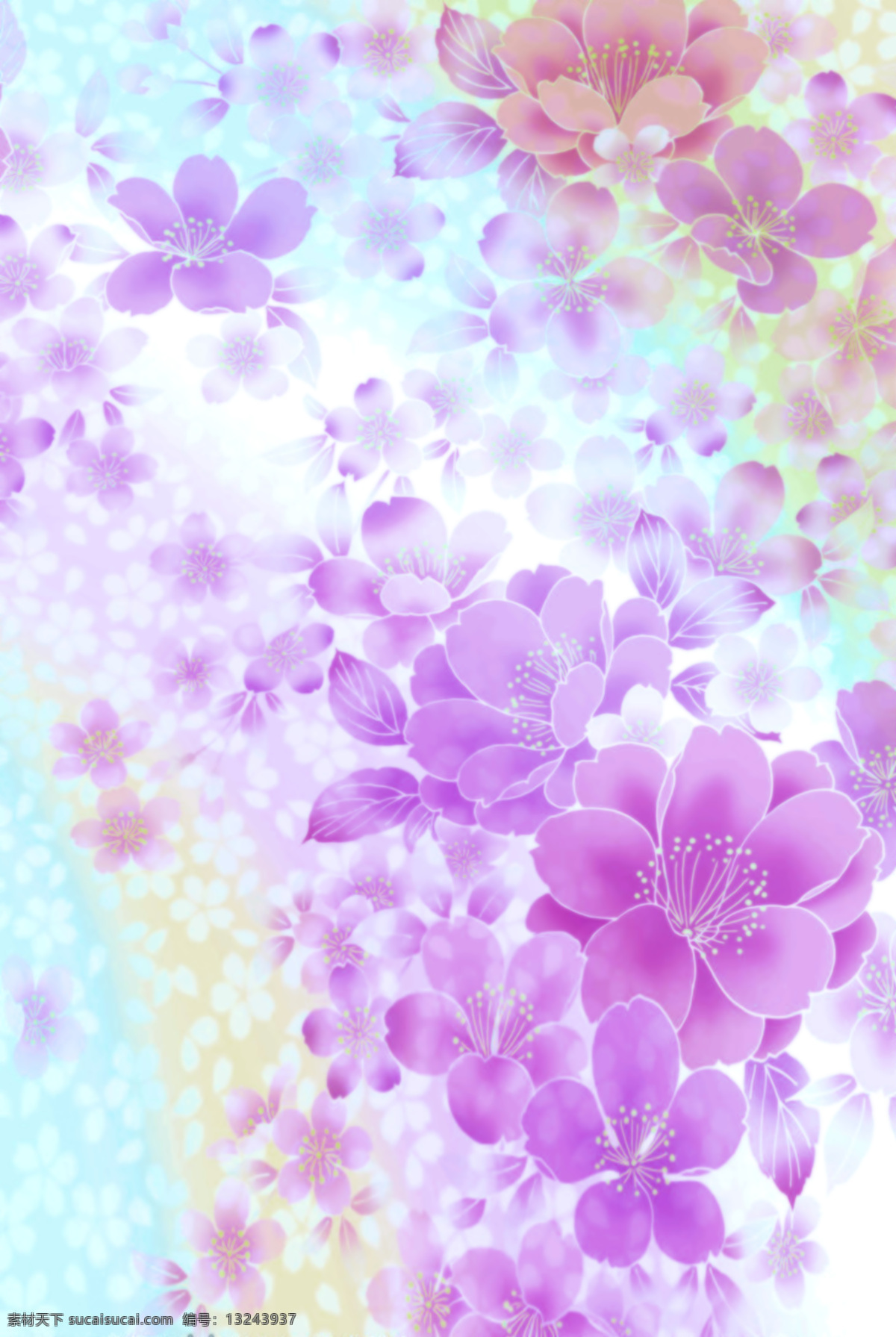 紫色 色 花瓣 绚丽多彩 蓝色背景 紫色花 清新感觉 家居装饰素材 壁纸墙画壁纸