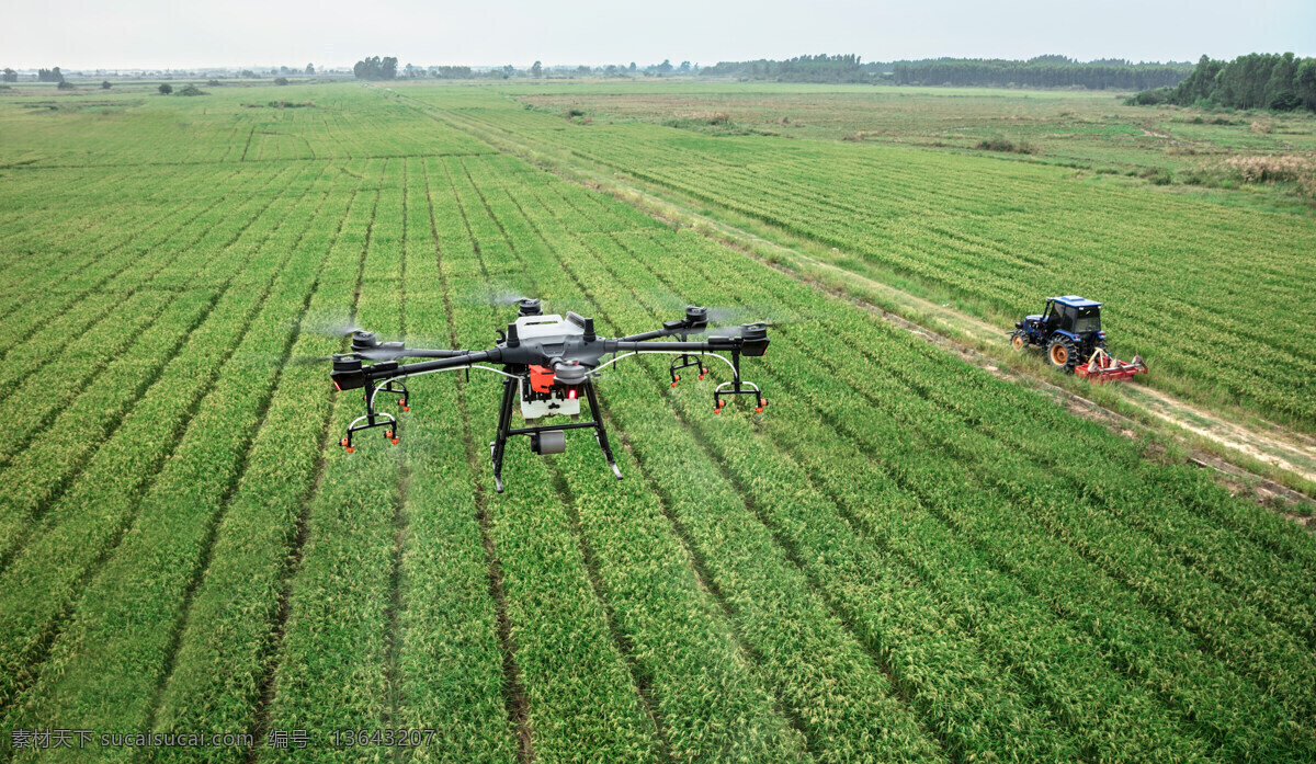 植保无人机 dji 大疆 t16 农田 农业 三农 植保 无人机 水稻 稻田 现代科技 农业生产
