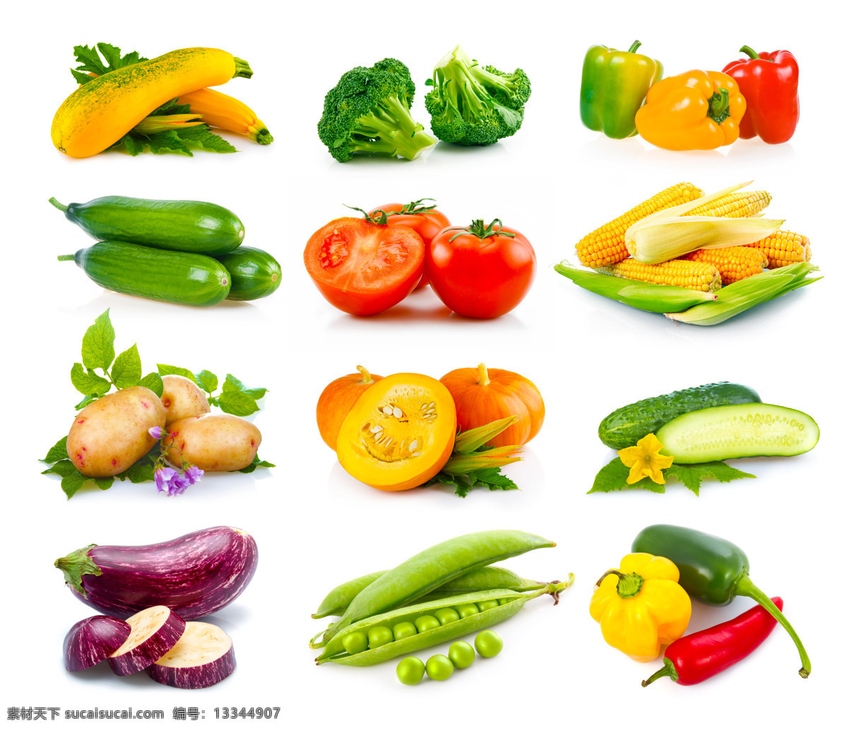各种各样 蔬菜 青菜 西红柿 南瓜 玉米 新鲜蔬菜 果实 水果蔬菜 餐饮美食 蔬菜图片