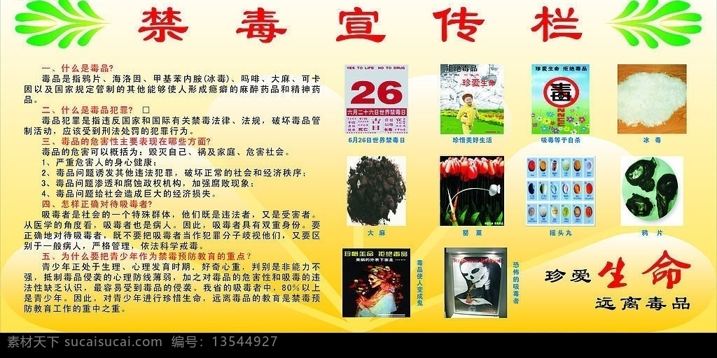 禁毒专栏 毒 毒品 专栏 珍爱 生活 远离毒品 其他设计 矢量图库