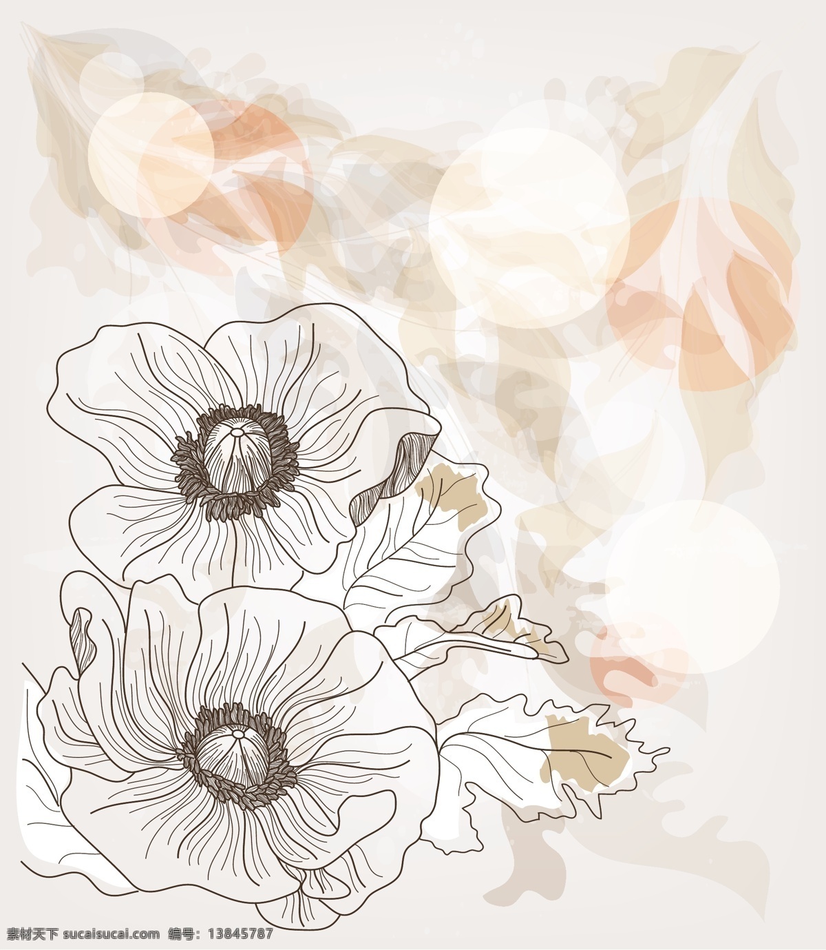 唯美 花朵 底纹 矢量图 花纹花边