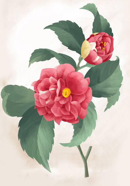 位图免费下载 服装图案 花卉 时尚休闲女装 位图 植物 成熟优雅女装 面料图库 服装设计 图案花型