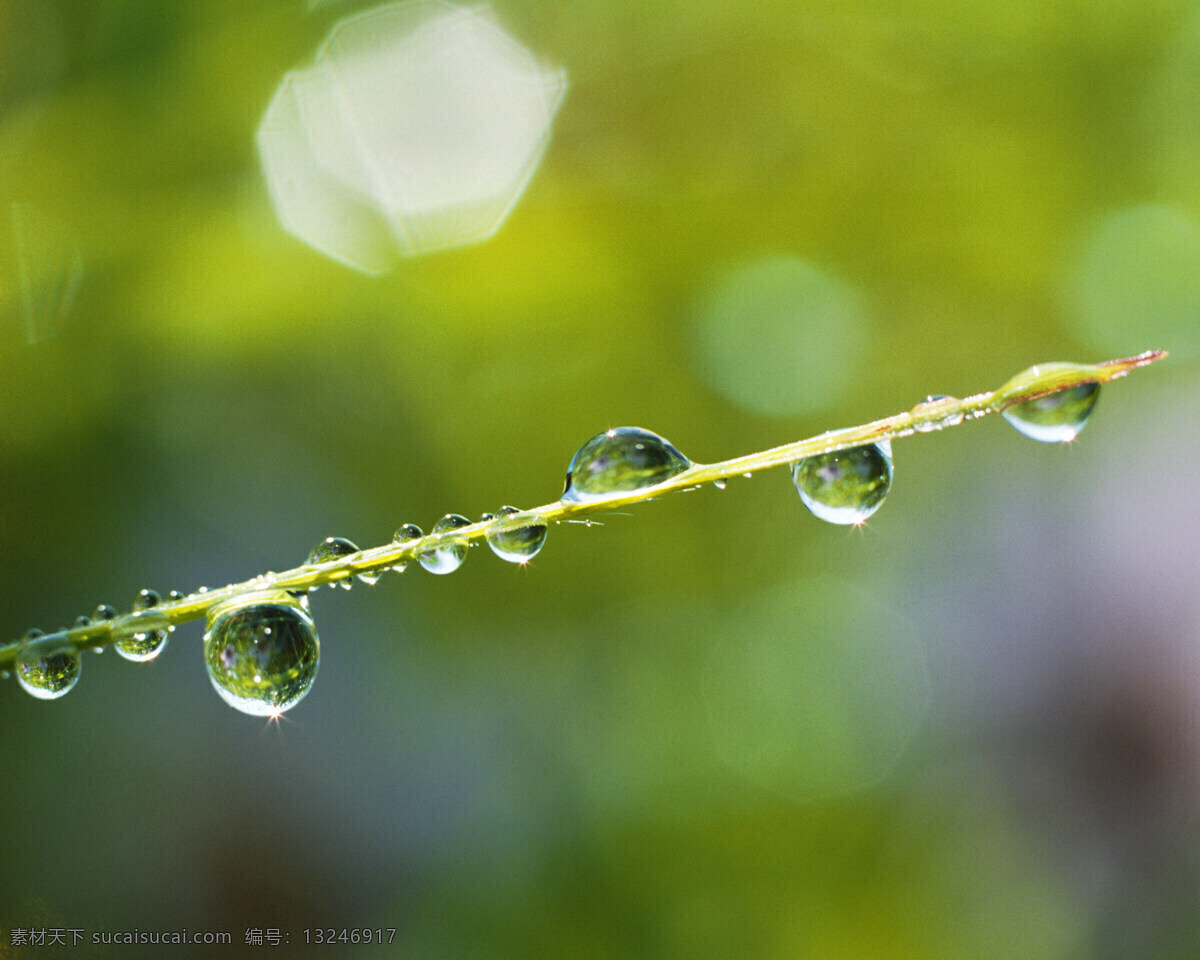 美丽 水珠 纯净 晶莹剔透 涟漪 洒水 水杯 水滴 水泡 水纹 旋涡 水 水域 湿润