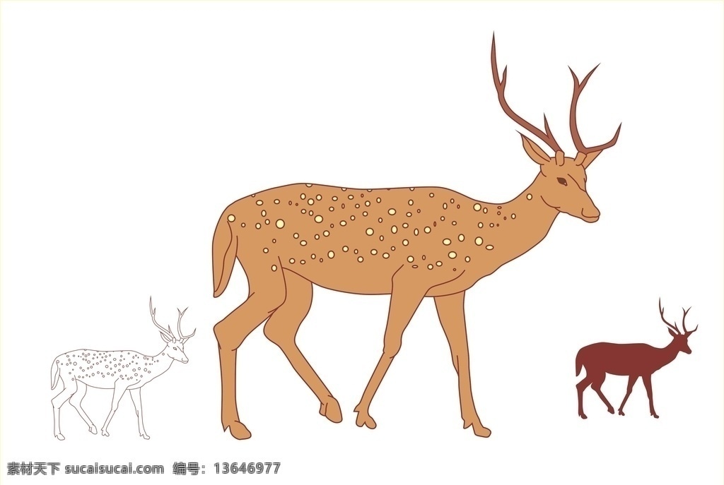 梅花鹿 鹿 野生动物 哺乳类动物 食草类动物 牲畜 矢量图 生物世界