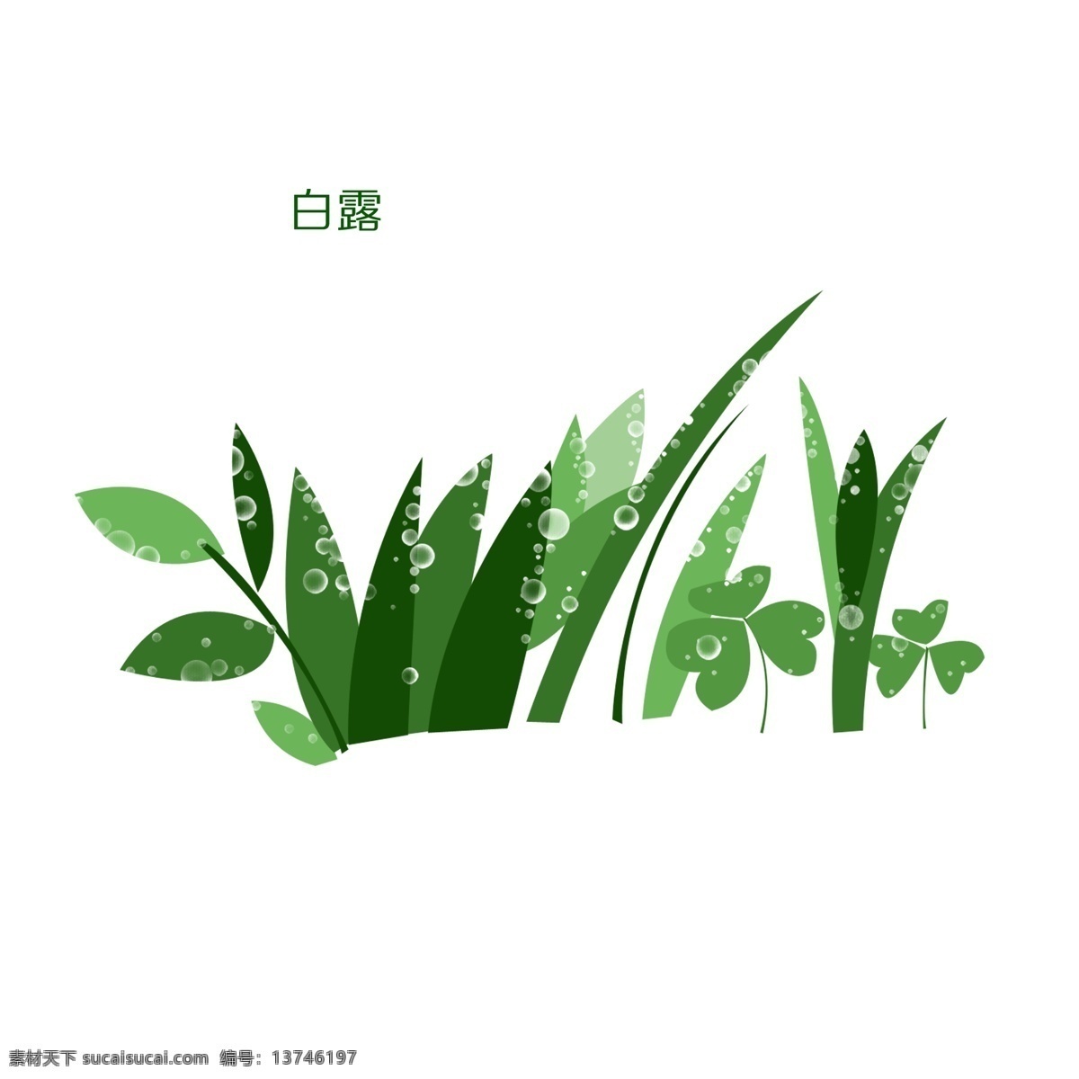 白露 二十四节气 原创 商用 元素 露珠 草 小草 露珠草 幸运草