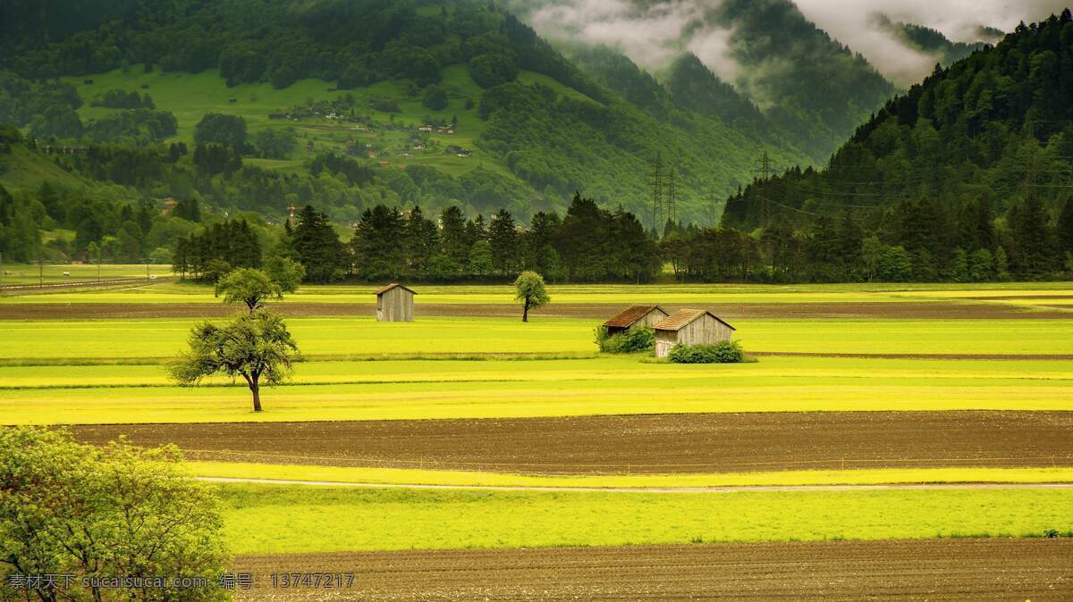 一望无际 油菜花 美丽 高山 美景 灿烂 多娇江山 自然景观 自然风景