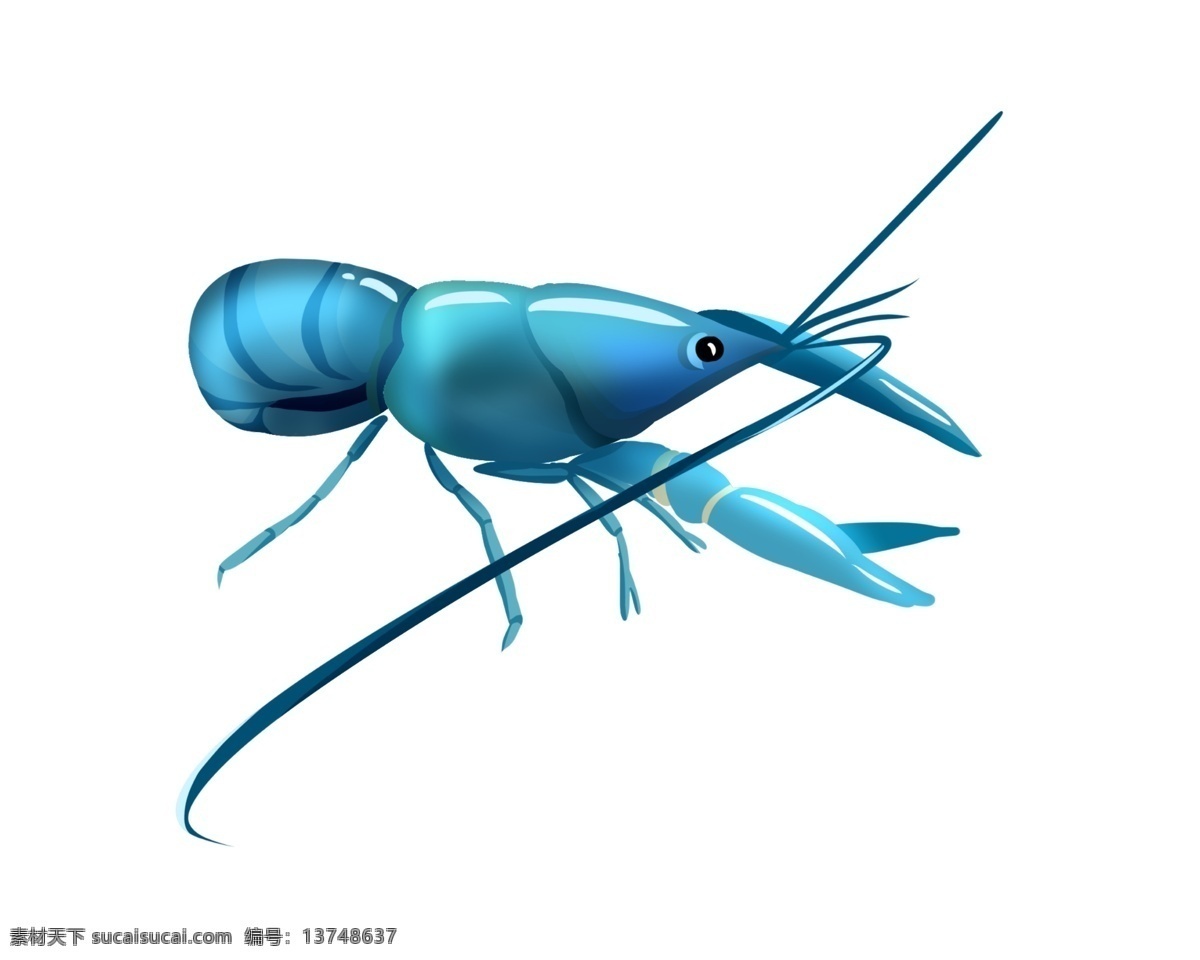 蓝色 可爱 龙虾 插画 可爱的龙虾 卡通插画 龙虾插画 动物插画 淡水龙虾 深海龙虾 蓝色的触须