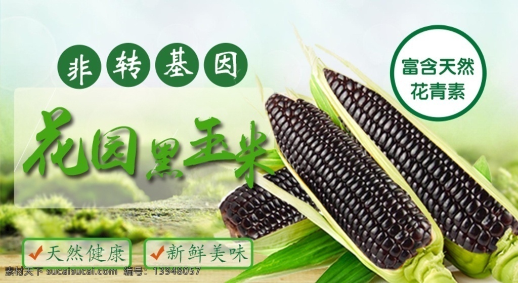 黑 玉米 banner 图 黑玉米 水果玉米 花园黑玉米 个人作品 淘宝界面设计 淘宝 广告