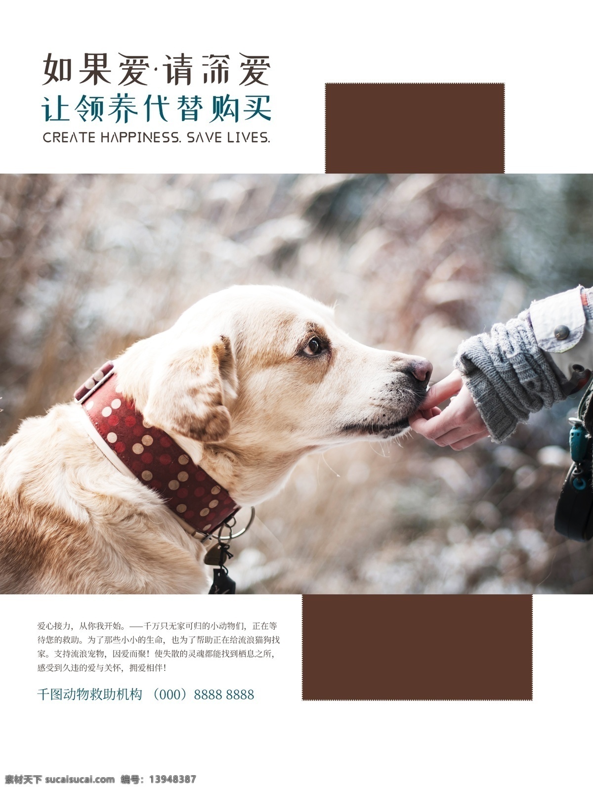简约 文艺 动物 宠物 领养 海报