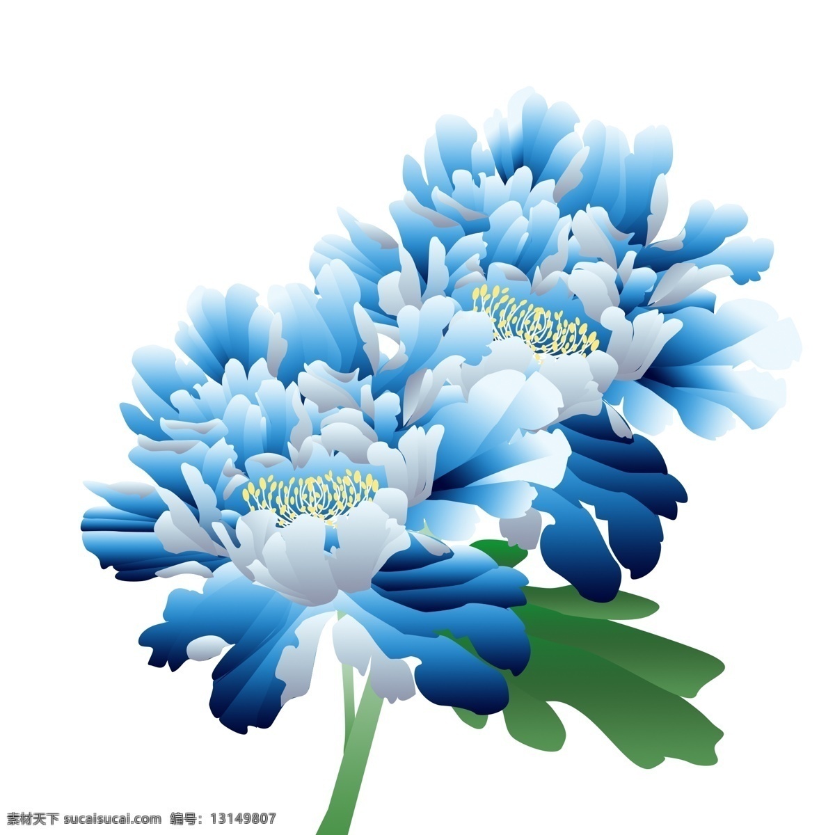 手绘 花 古典 蓝色 牡丹花 元素 手绘花 牡丹