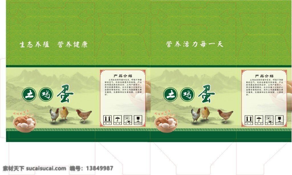 鸡蛋 箱包 装 母鸡 鸡蛋箱 包装 食品 土鸡蛋