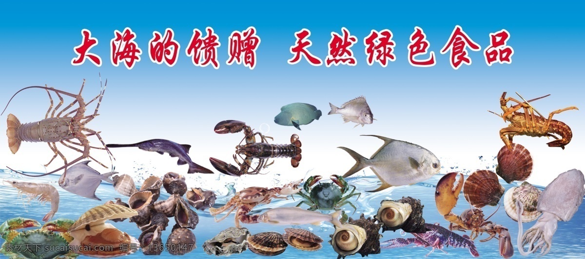 海产品 海洋食品 海洋鱼类 海洋虾 海螺 鱿鱼 乌贼 龙虾 虾 鱼 鱼类 虾类 海洋背景 水产品 新鲜鱼虾 橱窗宣传