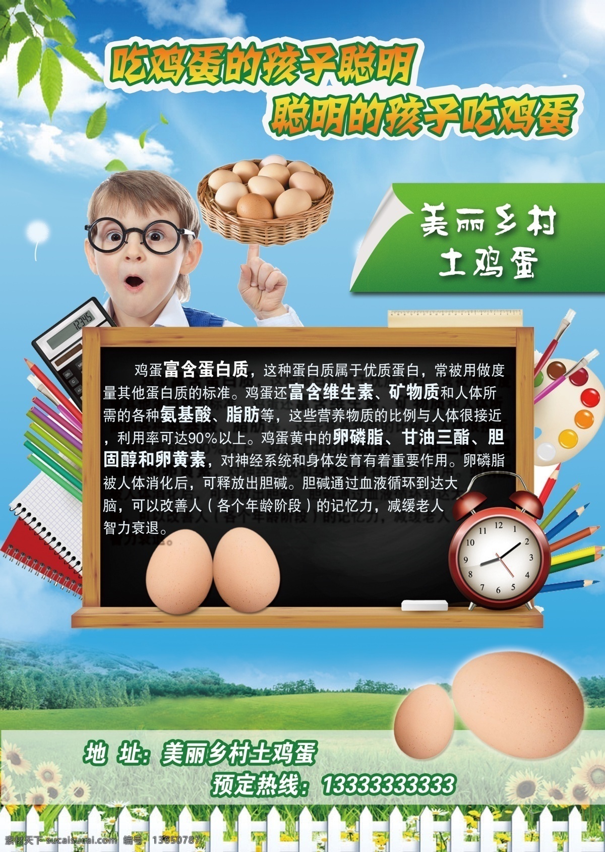鸡蛋单页 单页 鸡蛋 蓝色