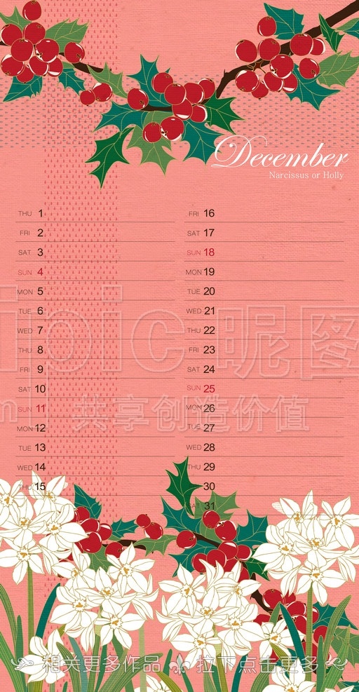 手绘一品红 圣诞花 手绘水仙花 日历 挂历 花插画 花卉插画 工笔画 工笔花卉 工笔花朵 分层 源文件