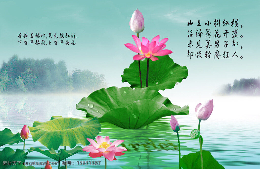荷花素材 psd源文件 分层素材 青色 天蓝色