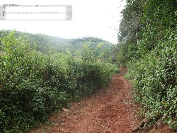 大自然 风景图片 山水 摄影图库 自然风景图片 自然风景 自然 关于 家居装饰素材 山水风景画