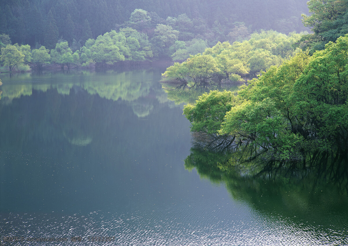 树免费下载 风景 山水风景 摄影图 树 植物 自然景观 水 家居装饰素材 山水风景画