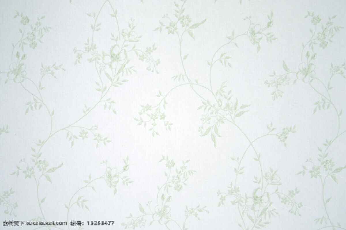 清新 墙纸 花藤 绿叶 白 背景图片