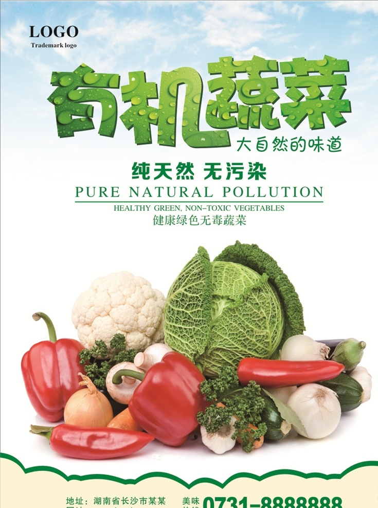 有机蔬菜海报 新鲜果蔬 绿色蔬菜 有机蔬菜 海报 纯天然 新鲜果 蔬模版 种植蔬菜 农家蔬菜 食堂文化展板