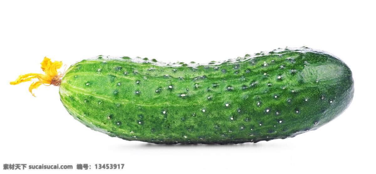 蔬菜 瓜果 瓜果蔬菜 蔬菜摄影 新鲜黄瓜 生物世界