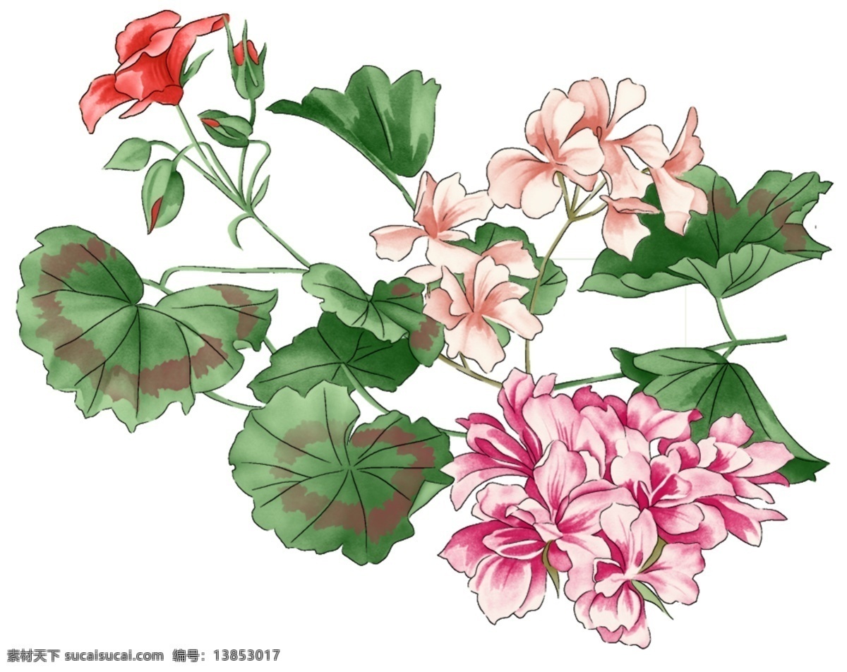 时尚 花卉 叶子 分层 白描 红花 花朵 绿叶 psd源文件