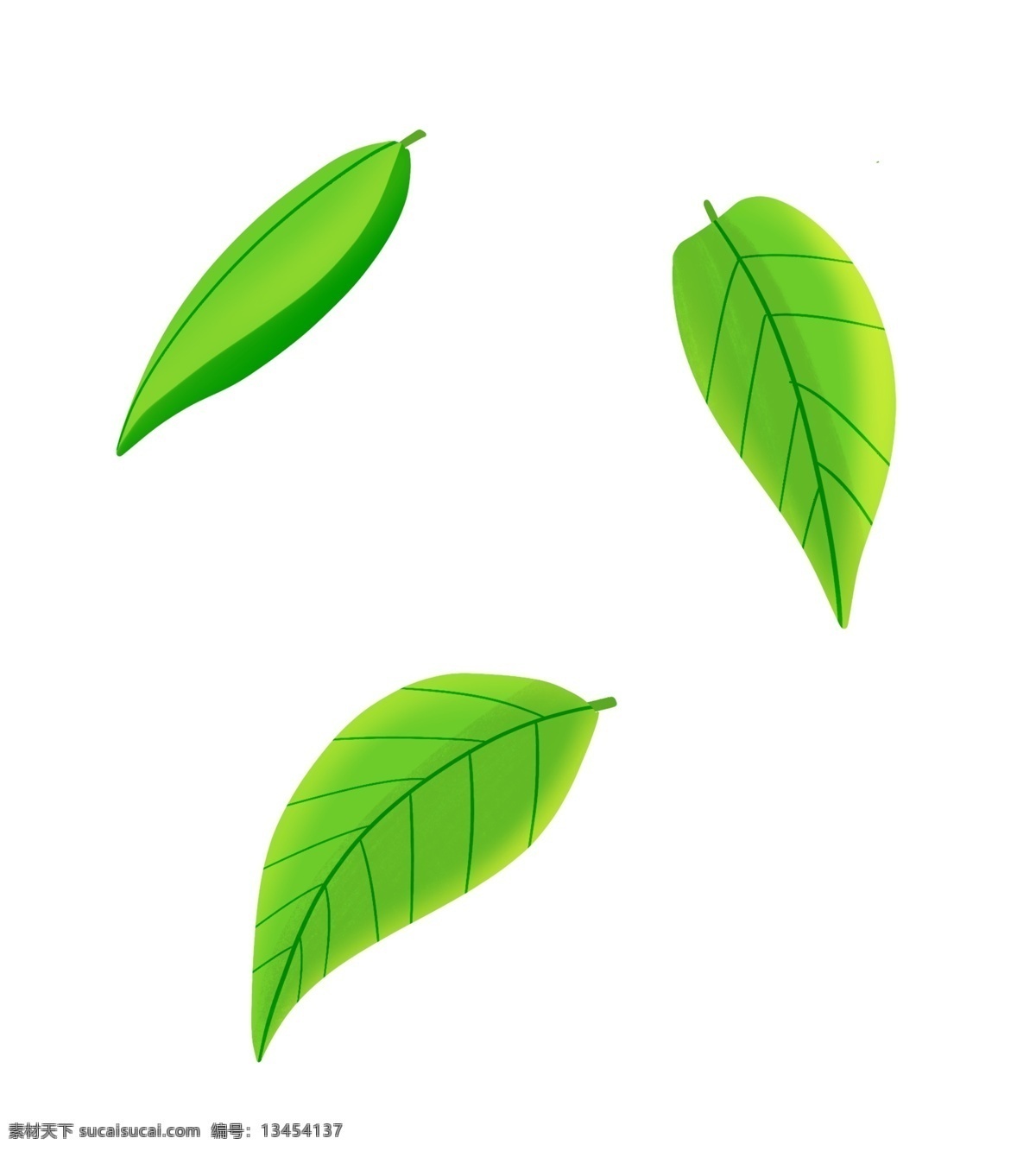 卡通 绿色 树叶 插画 飘扬的绿叶 卡通植物插画 植物 植物插画 绿叶 绿色的叶子 树叶插画