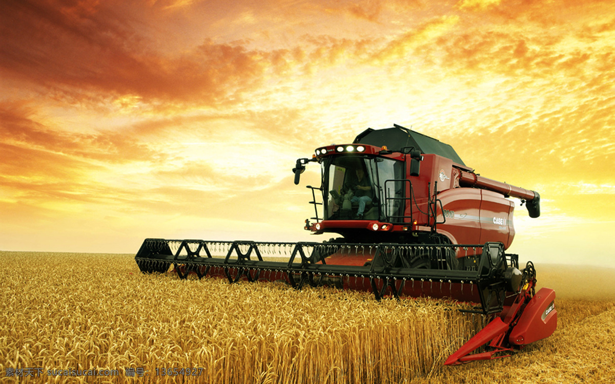 收割麦子 庄稼 麦田 田野 丰收 麦子 收割机 自然风景 现代科技 农业生产