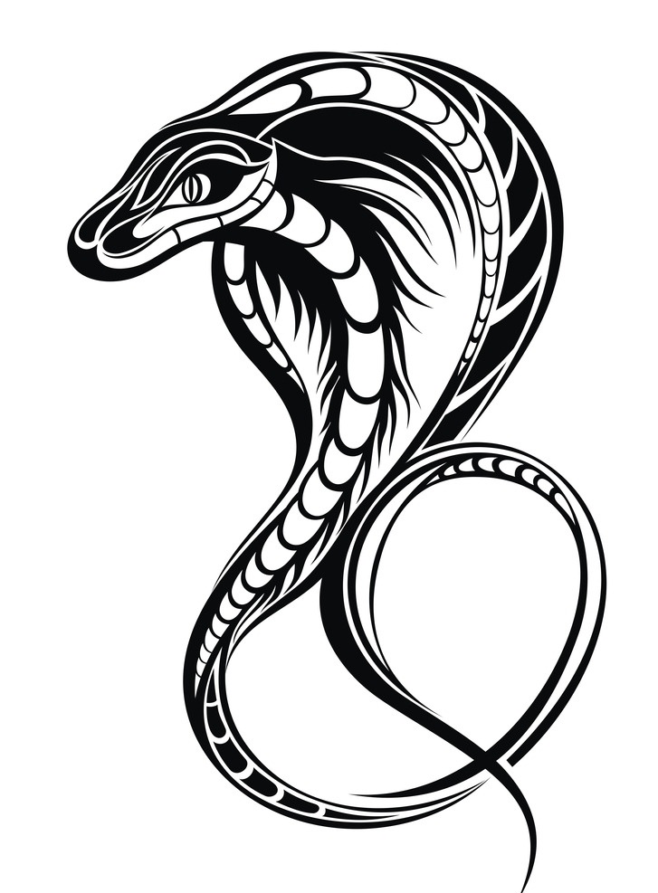 黑白剪影 矢量素材 眼镜蛇 黑白 剪影 图案 矢量 线 稿 动物 生物世界 野生动物
