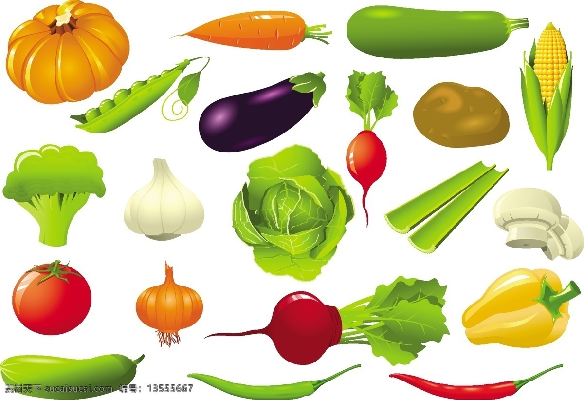 精品 蔬菜 高清 矢量图 蔬菜矢量 蔬菜下载 南瓜 番茄 萝卜 辣椒 茄子 土豆 胡萝卜 黄瓜 蔬菜水果 生物世界